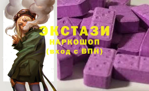 ECSTASY Белокуриха